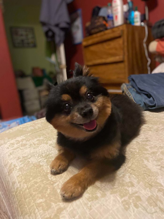 This Is Mocha She Will Be 13 Next Month