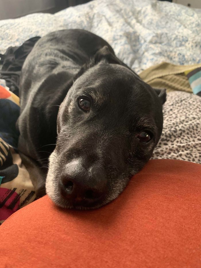 I’m Currently 40 Weeks Pregnant And His Favourite Spot Is On The Bump