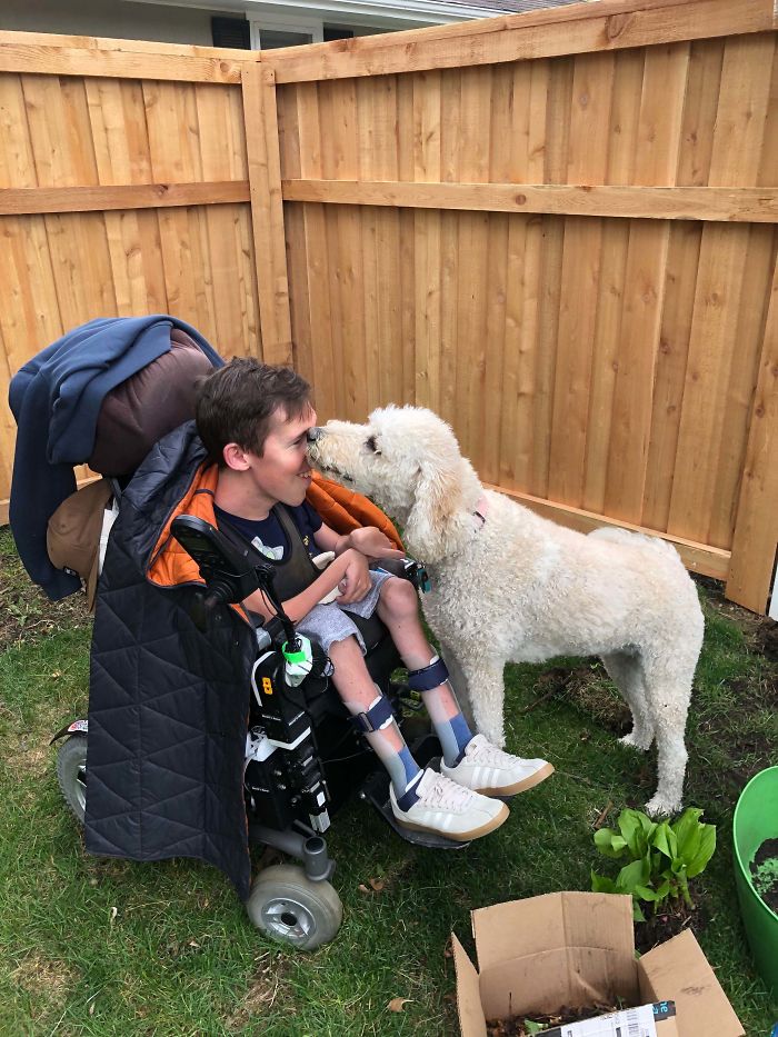 Taught Chloe To Stand On My Wheelchair’s Feet Rests, Now All She Wants To Do Is Give Me Kisses