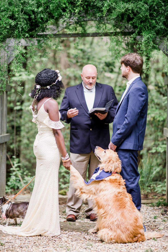 I Promised To Try To Love Her As Much As Our Golden Does