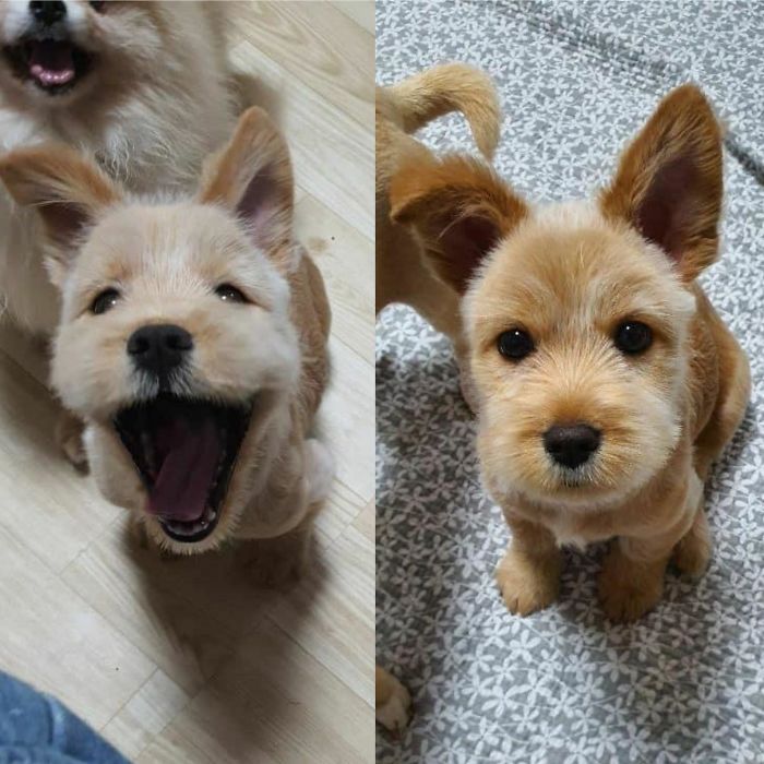 She’s Happy And She Knows It