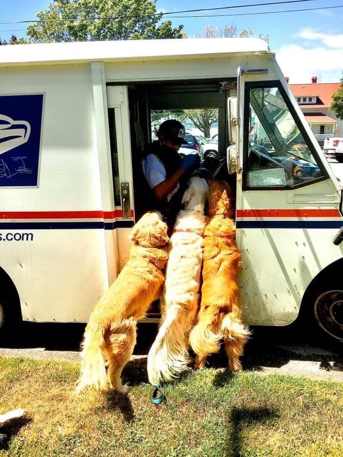 Their Favorite Time Of Day, And I’m Sure They Postman’s Too
