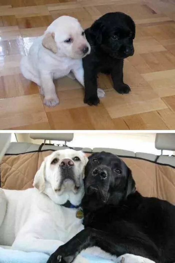 Growing Up Together