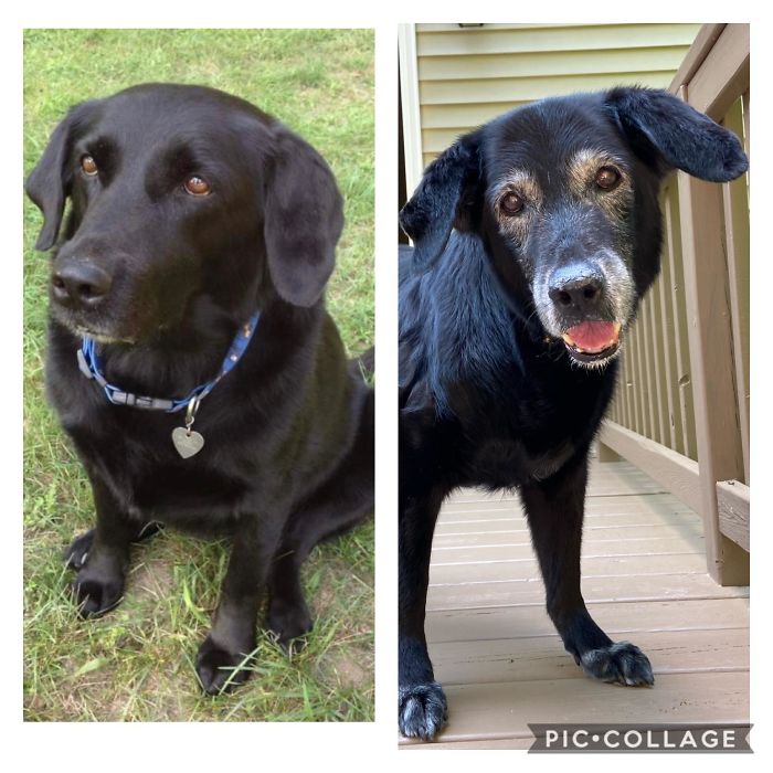 My Best Friend Savannah Turned 17 Today. She Helped Raise Two Boys And Has Been The Best Of Good Girls ❤️