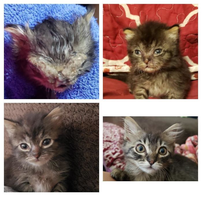 Timber- 7 Weeks Later. She Sure Has Come Along Way