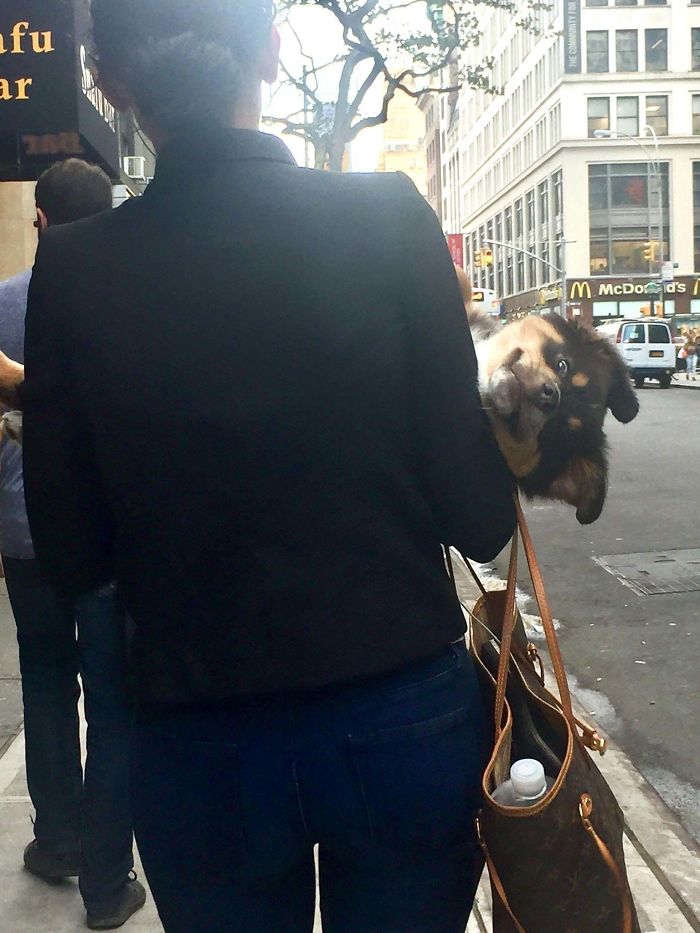 Surprise Boy To Brighten Your Day