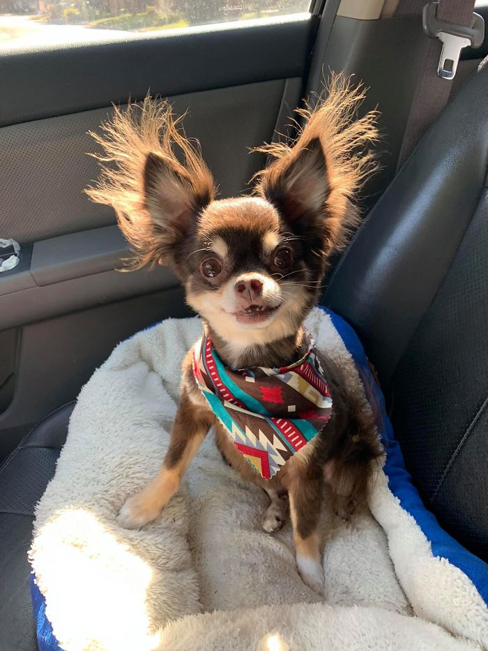 When The Ac Hits Just Right