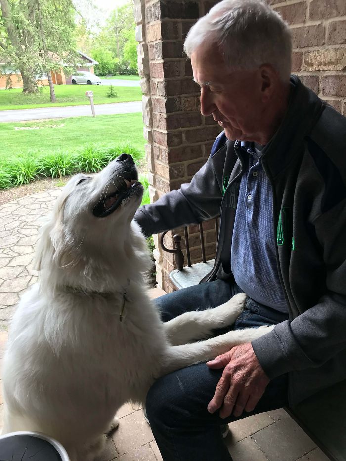 The Look My Dog Gives My Grandpa