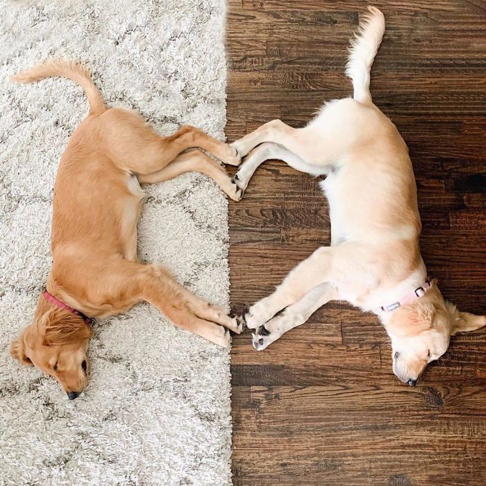 Here Is A Heart For You