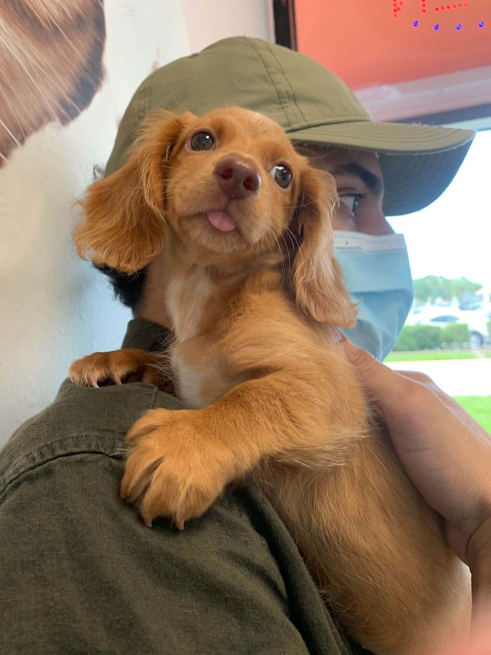 First Time At The Vet, She Was Such A Good Girl!