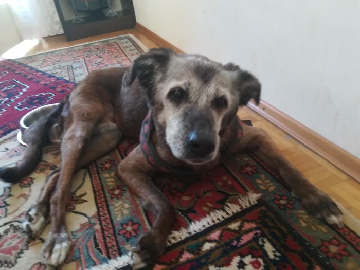 This Is My 17 Year Old Girl And I Just Wanted You To See Her