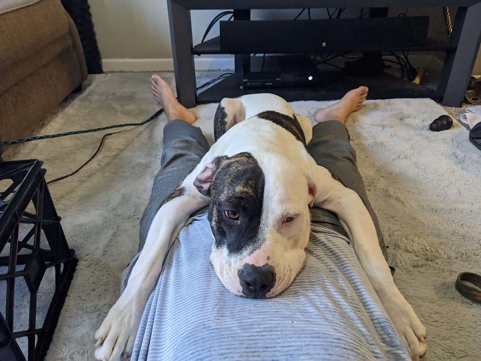 1 Month Of Being Adopted, Already My Best Bud!