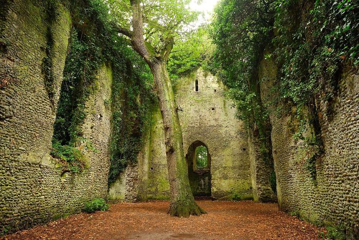 This Ruined Church With A Tree Growing In The Middle
