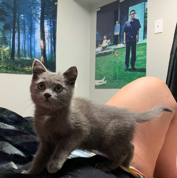 Scooped This Little Squish Up From Work After She Took Refuge Under A Shipping Crate. Meet Penny, Reddit!