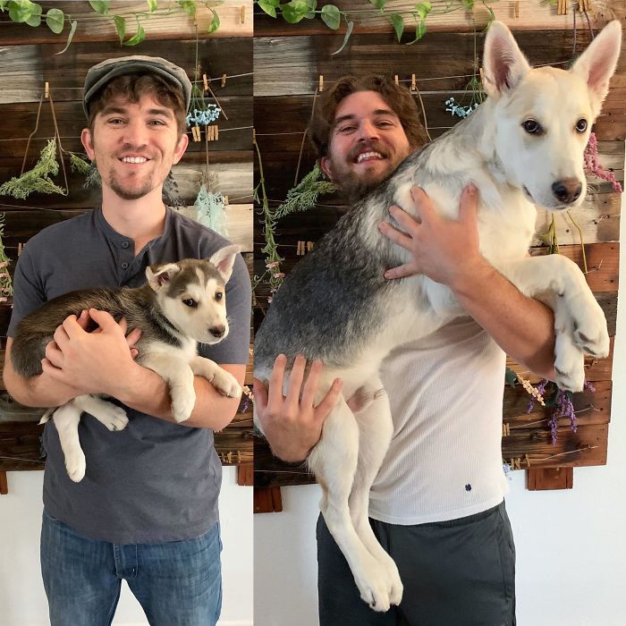 8 Weeks Old To 6 Months Old!