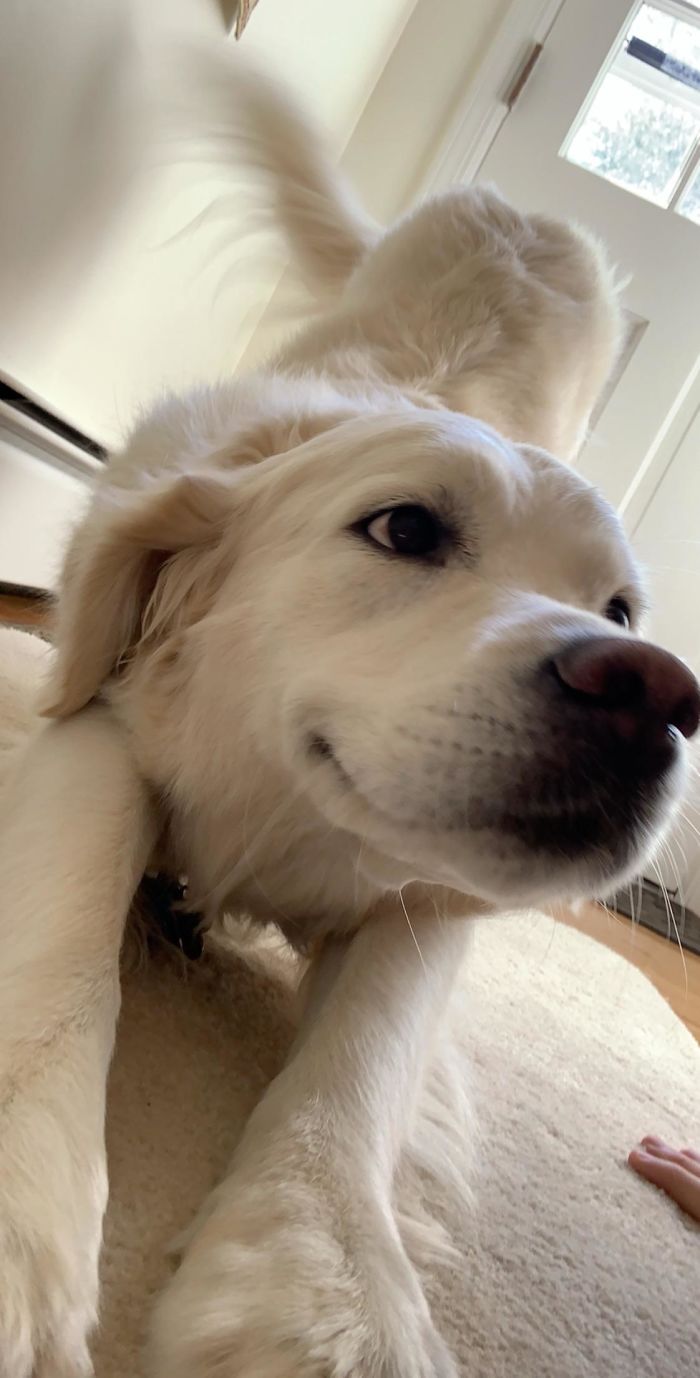 Nessie Is Having A Happy Morning And Thinks You Should Too