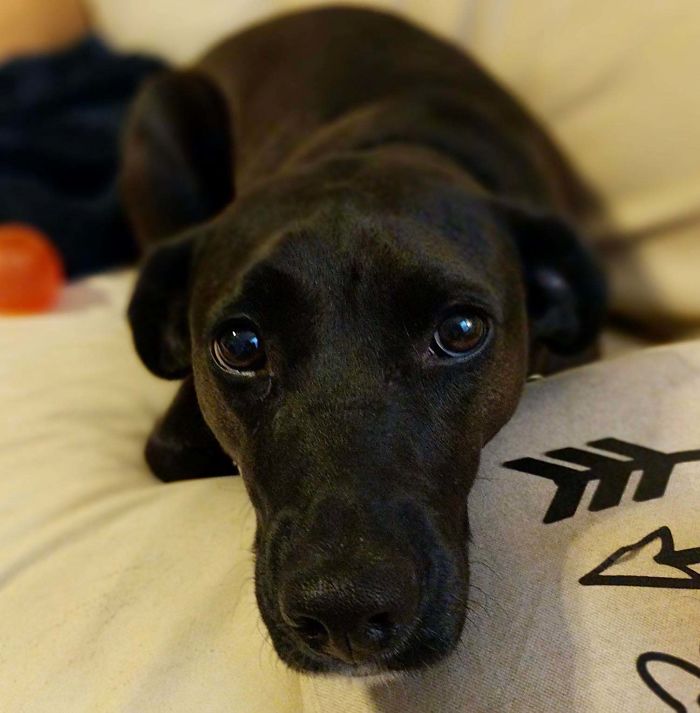 The Eyes I Get When Put My Shoes On For Work