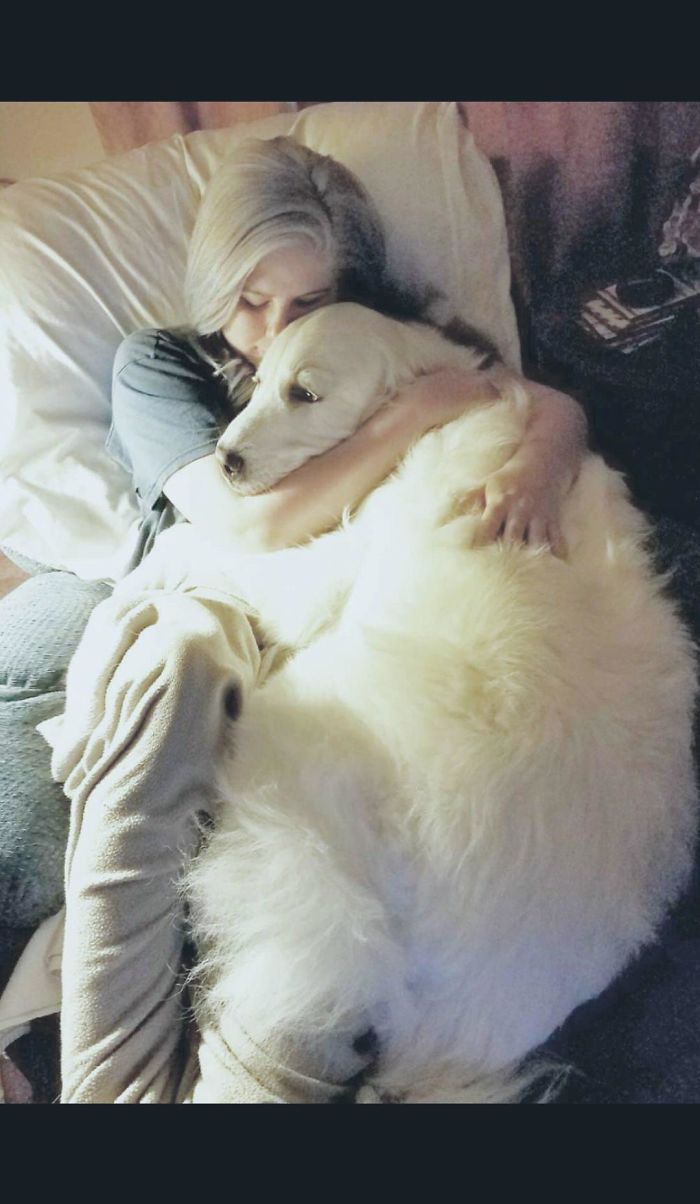 My Dpt (Deep Pressure Therapy) Service Dog Pearl Is Doing Her Job Right Here. I Was In A Full Aspergers Meltdown And She Helped Me Come Out Of It Pretty Quickly. The Goodest Girl