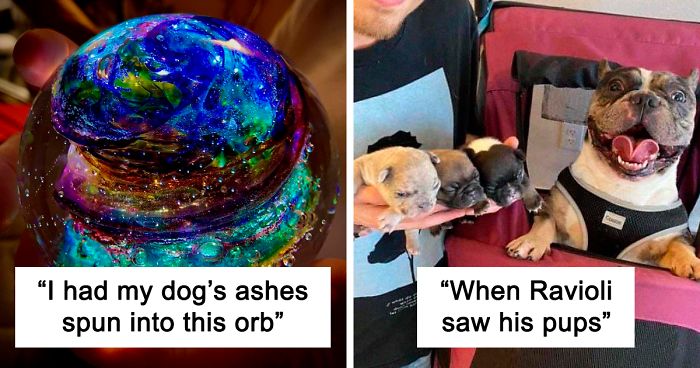 50 Uplifting Dog Posts To Make Your Day Better (New Pics)