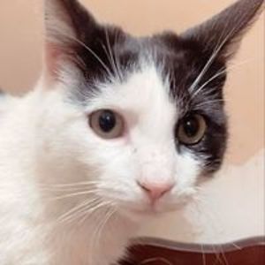 willow_miller avatar