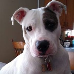 anderson_cari avatar