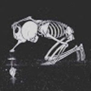 morsvincitomnia avatar