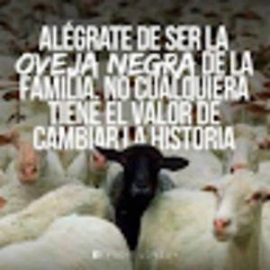 alejandrachvez avatar