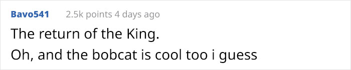 Photographer Finds A Surprise Visitor When Checking Pics On His Camera Trap Photographer Finds A Surprise Visitor When Checking Pics On His Camera Trap