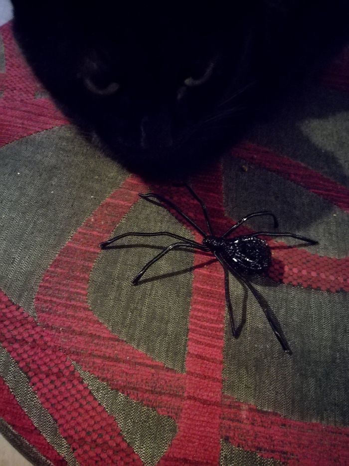 Working With Wire, You Can Make Anything You Can Imagine!