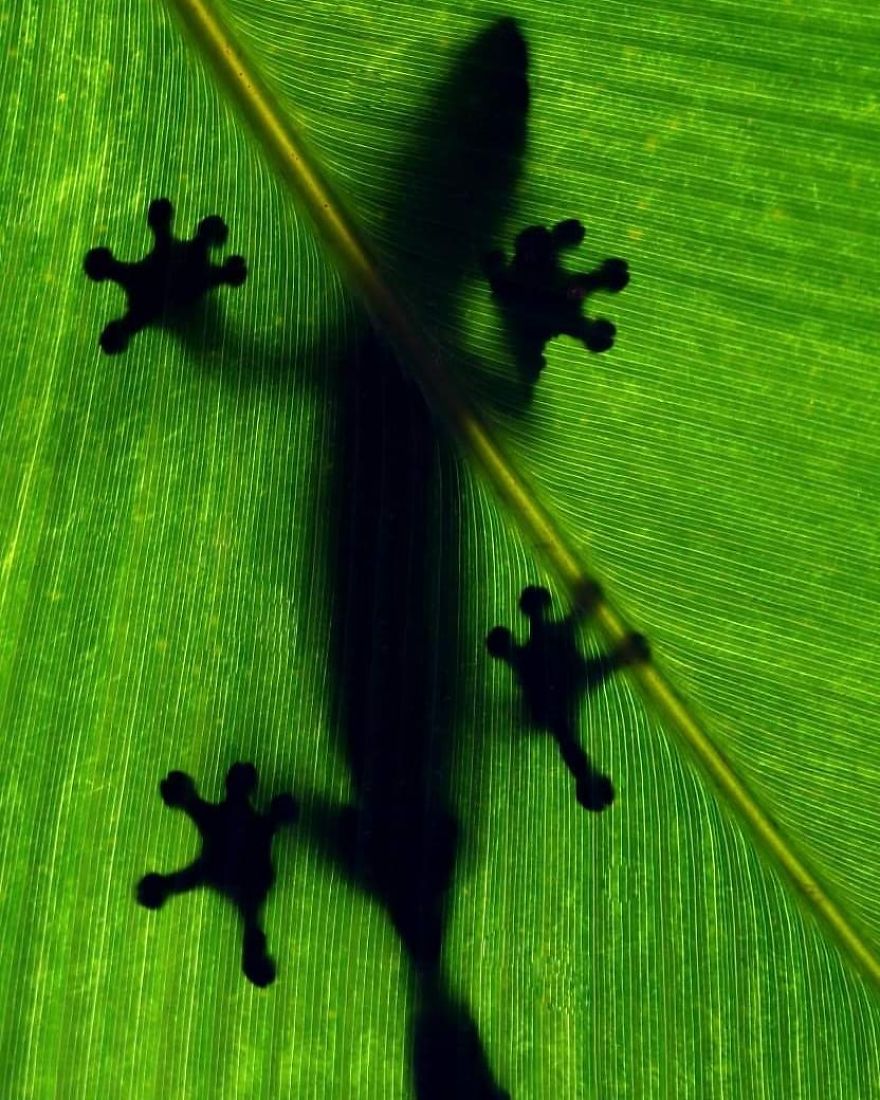 This Russian Photographer Travels To Dangerous Places To Show The Beauty Of Wildlife