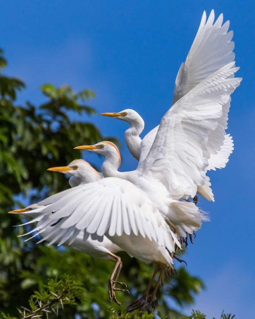 This Russian Photographer Travels To Dangerous Places To Show The Beauty Of Wildlife