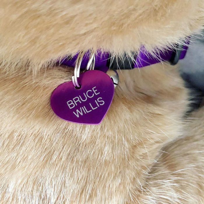 After Convincing Landlord, Woman Brings The Saddest Stray Cat Home, A Year Later, He’s Unrecognizable After Convincing Landlord, Woman Brings The Saddest Stray Cat Home, A Year Later, He’s Unrecognizable