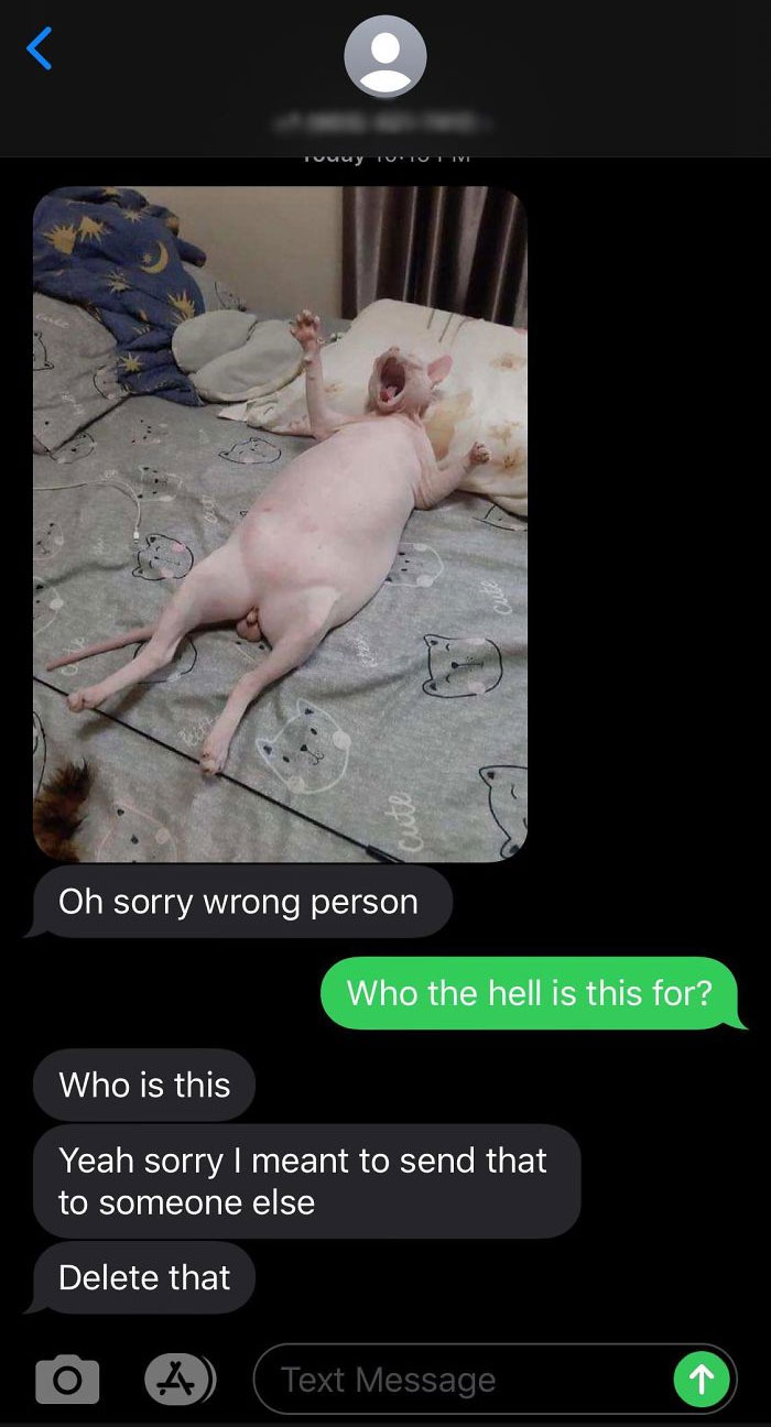 Wrong-Texts-Bringing-Chilli