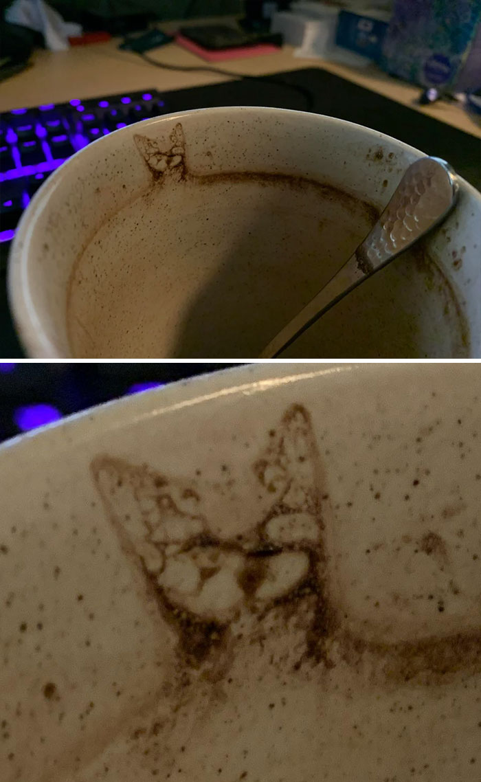 My Wife’s Hot Chocolate Was Visited By A Mysterious Cat