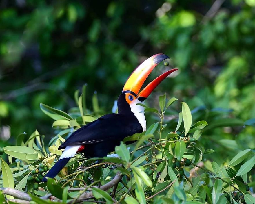 This Russian Photographer Travels To Dangerous Places To Show The Beauty Of Wildlife