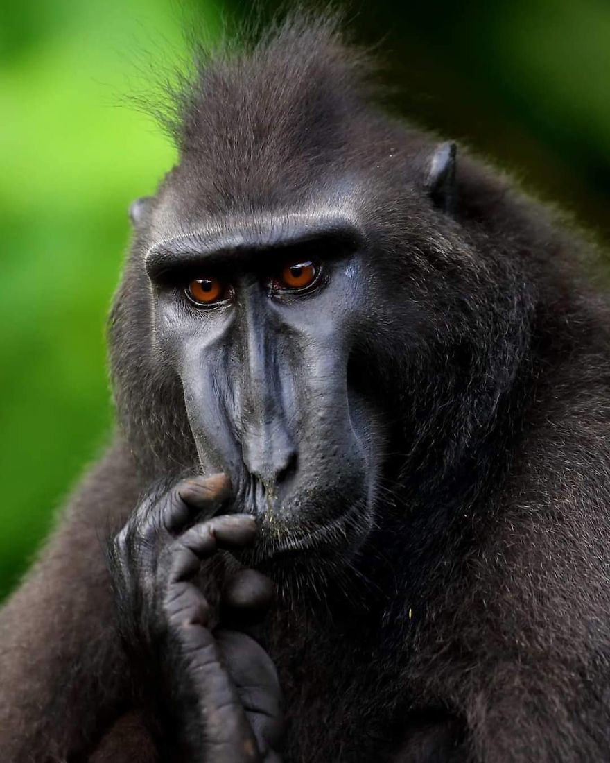 This Russian Photographer Travels To Dangerous Places To Show The Beauty Of Wildlife