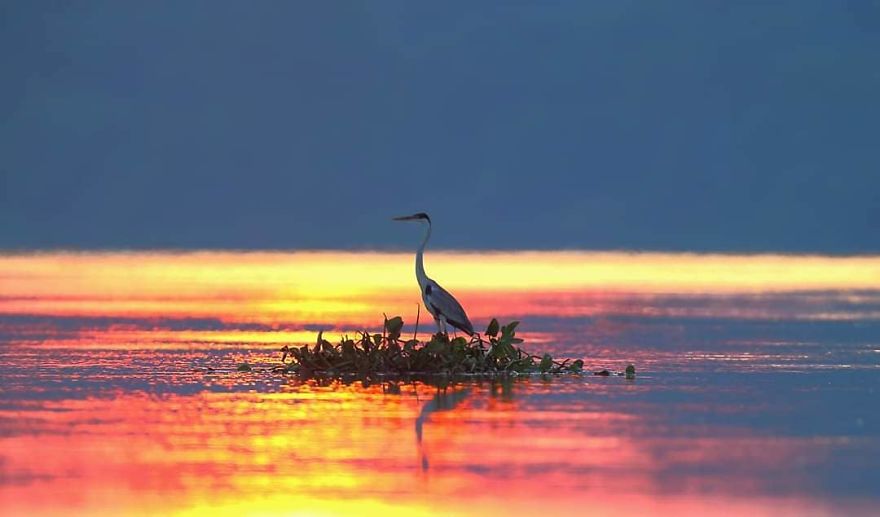 This Russian Photographer Travels To Dangerous Places To Show The Beauty Of Wildlife