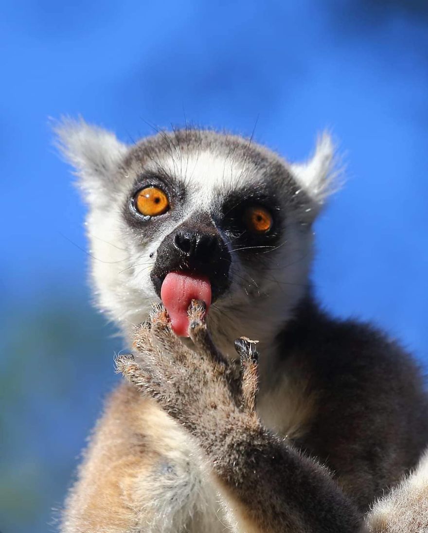 This Russian Photographer Travels To Dangerous Places To Show The Beauty Of Wildlife