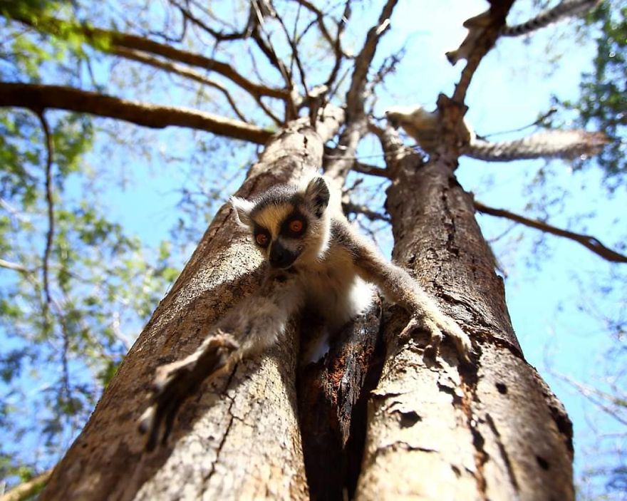 This Russian Photographer Travels To Dangerous Places To Show The Beauty Of Wildlife