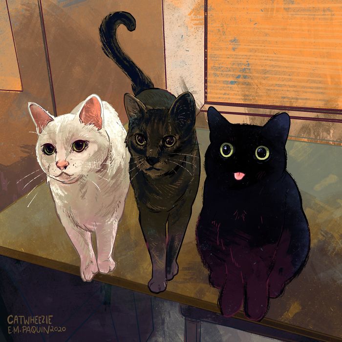 Drawing-Cats-Everyday-Em-Paquin