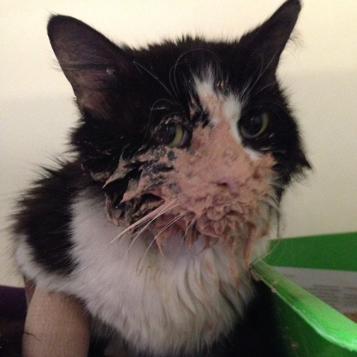 Have I Got Something On My Face?