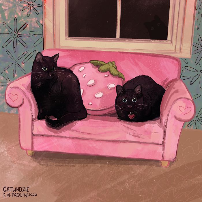 Drawing-Cats-Everyday-Em-Paquin