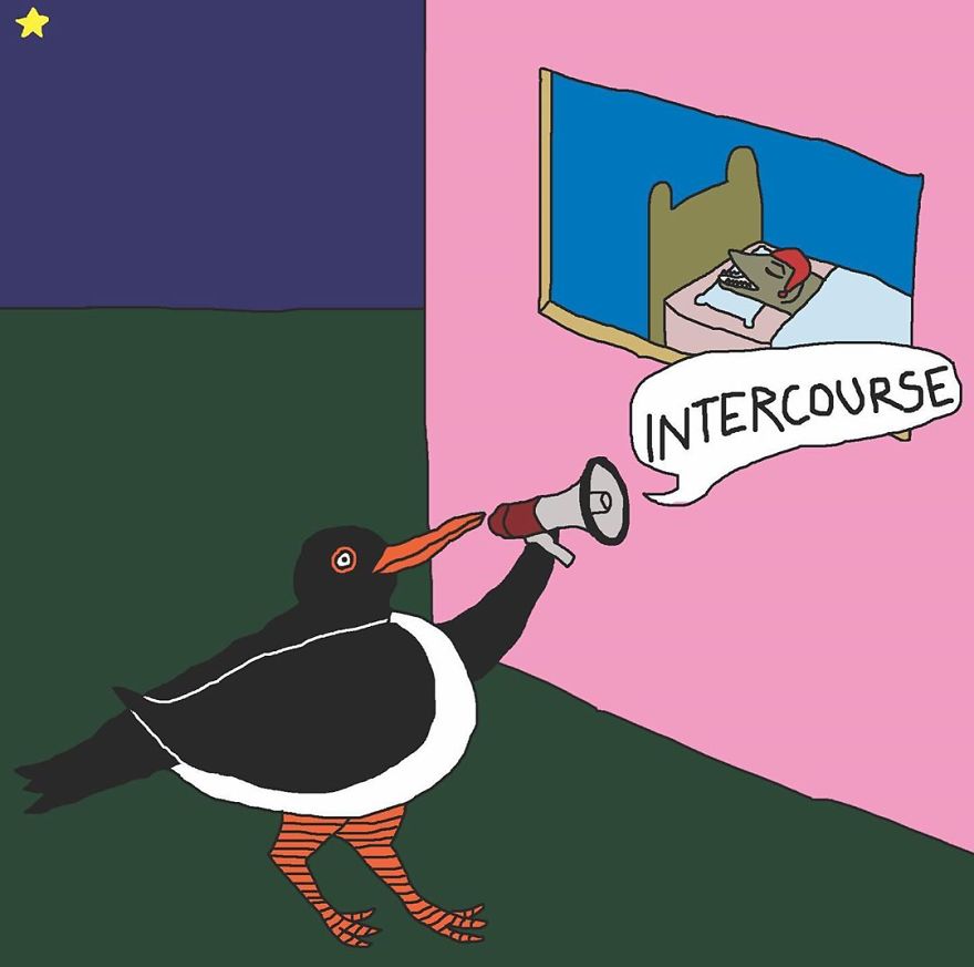 Lardy Oystercatcher Always Has Time For A Random Chat