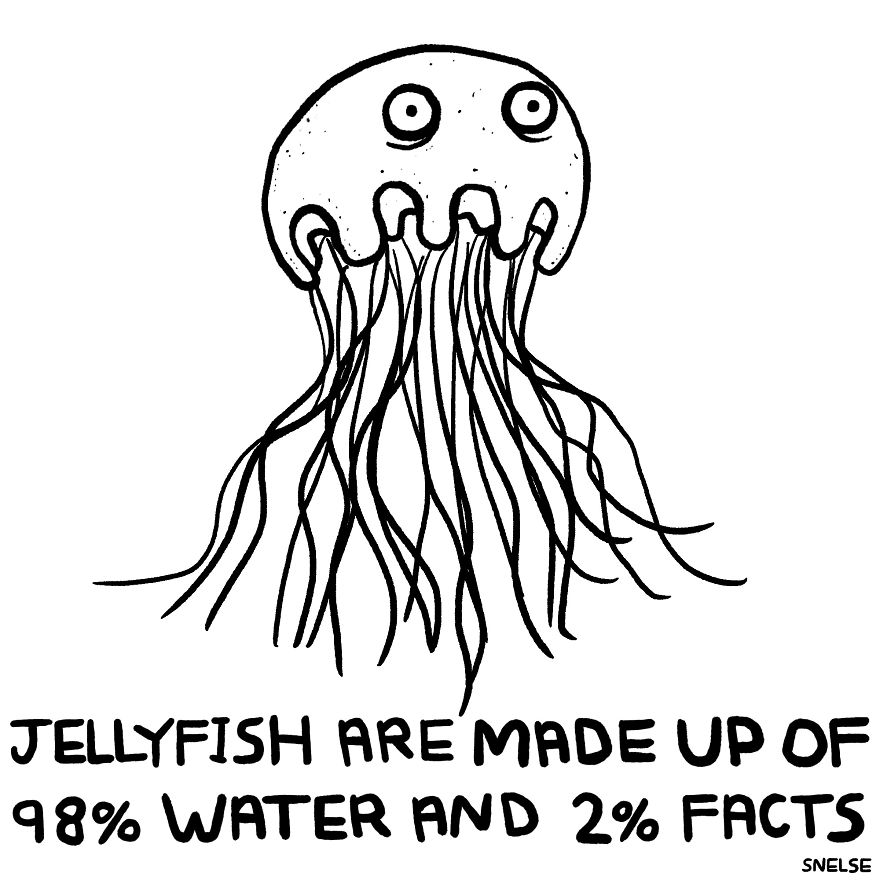 Jellyfish