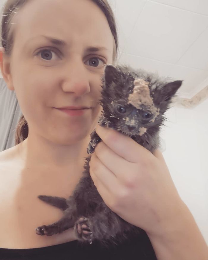 Literally Just Can't