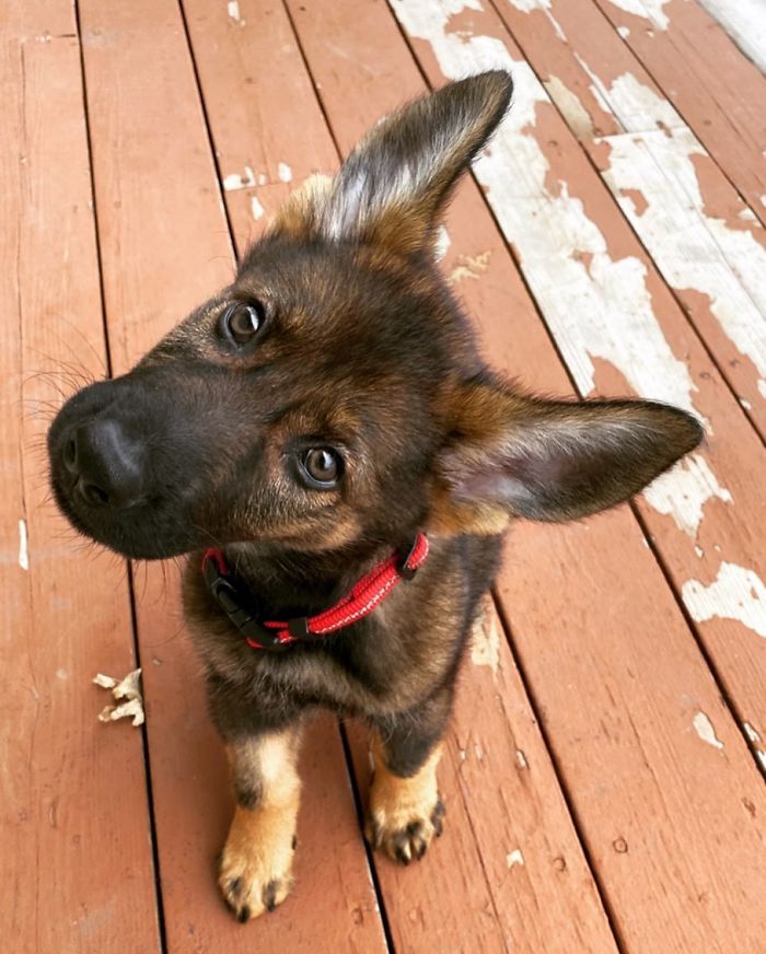 So You Mean To Tell Me It Snows Every Winter?