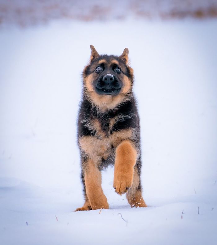 It's Week 123456. I'm Still Working On This Whole "Running" Thing