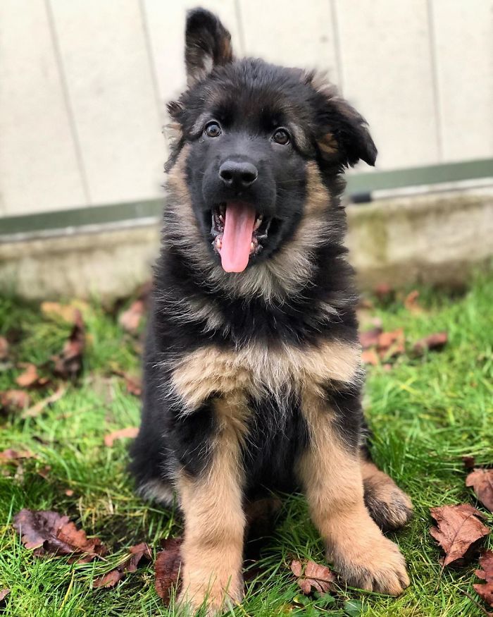 "I've Got One Antenna, Soon I'll Have Two"