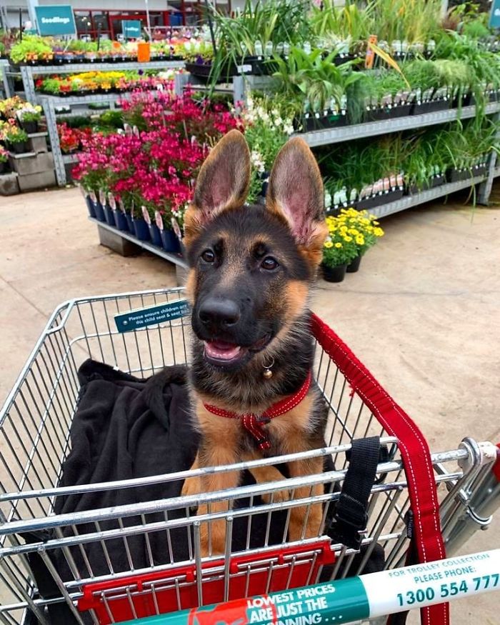 Don't Forget To Stop And Smell The Flowers