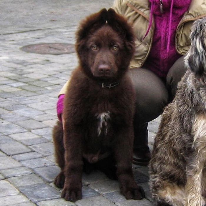 Lil Me. And Yes I Looked Like I Was Wearing These Russian Winter Hats